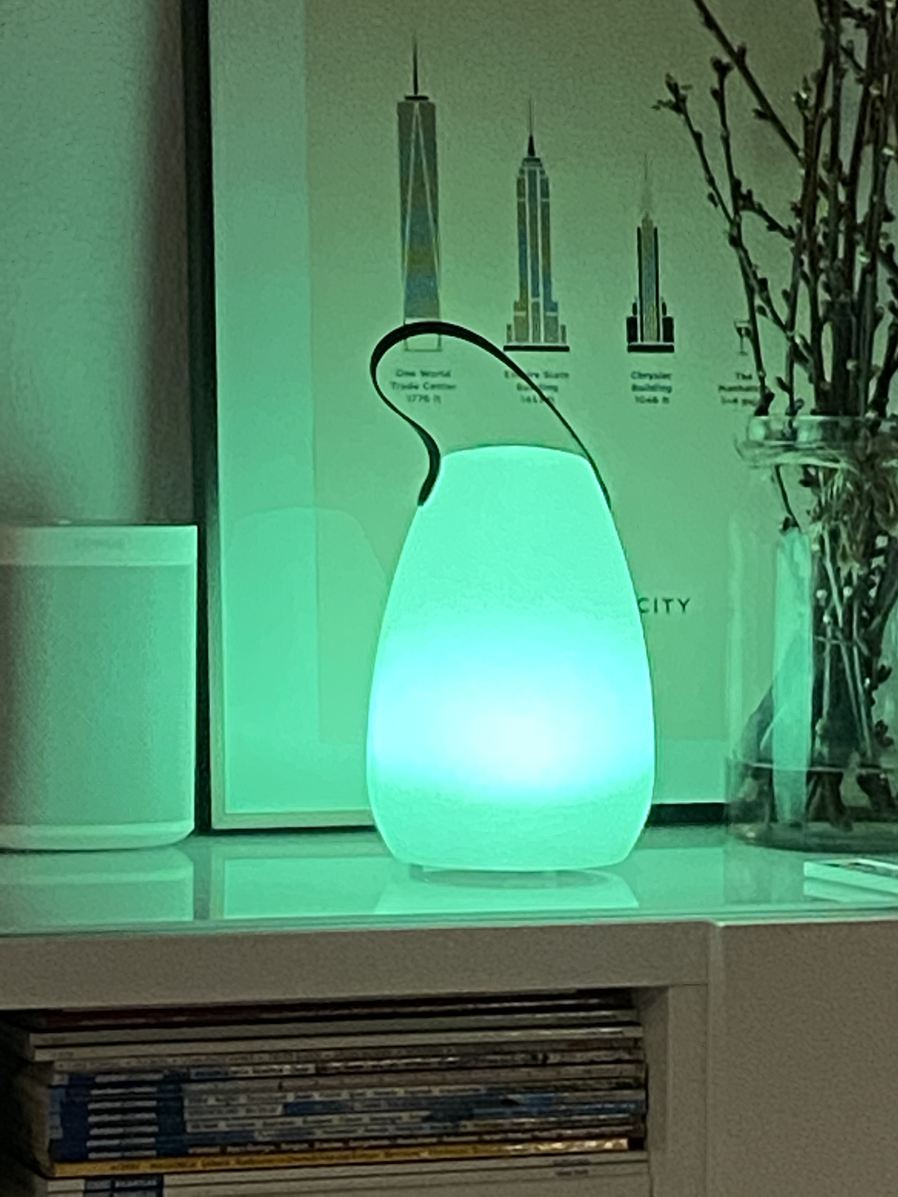16-Color Rechargeable LED Egg Night Light with Remote Control photo review