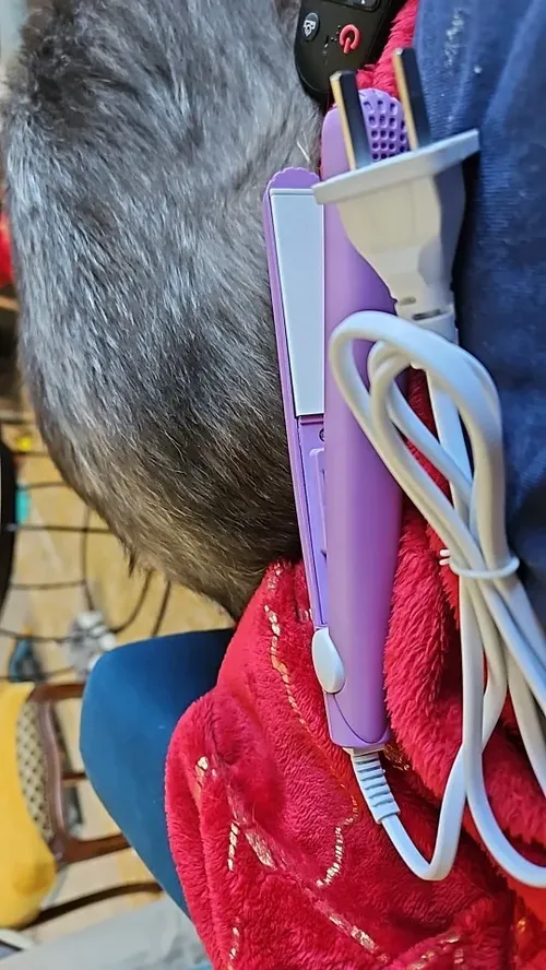 2 in 1 Mini Hair Straightener and Curling Iron Tool photo review