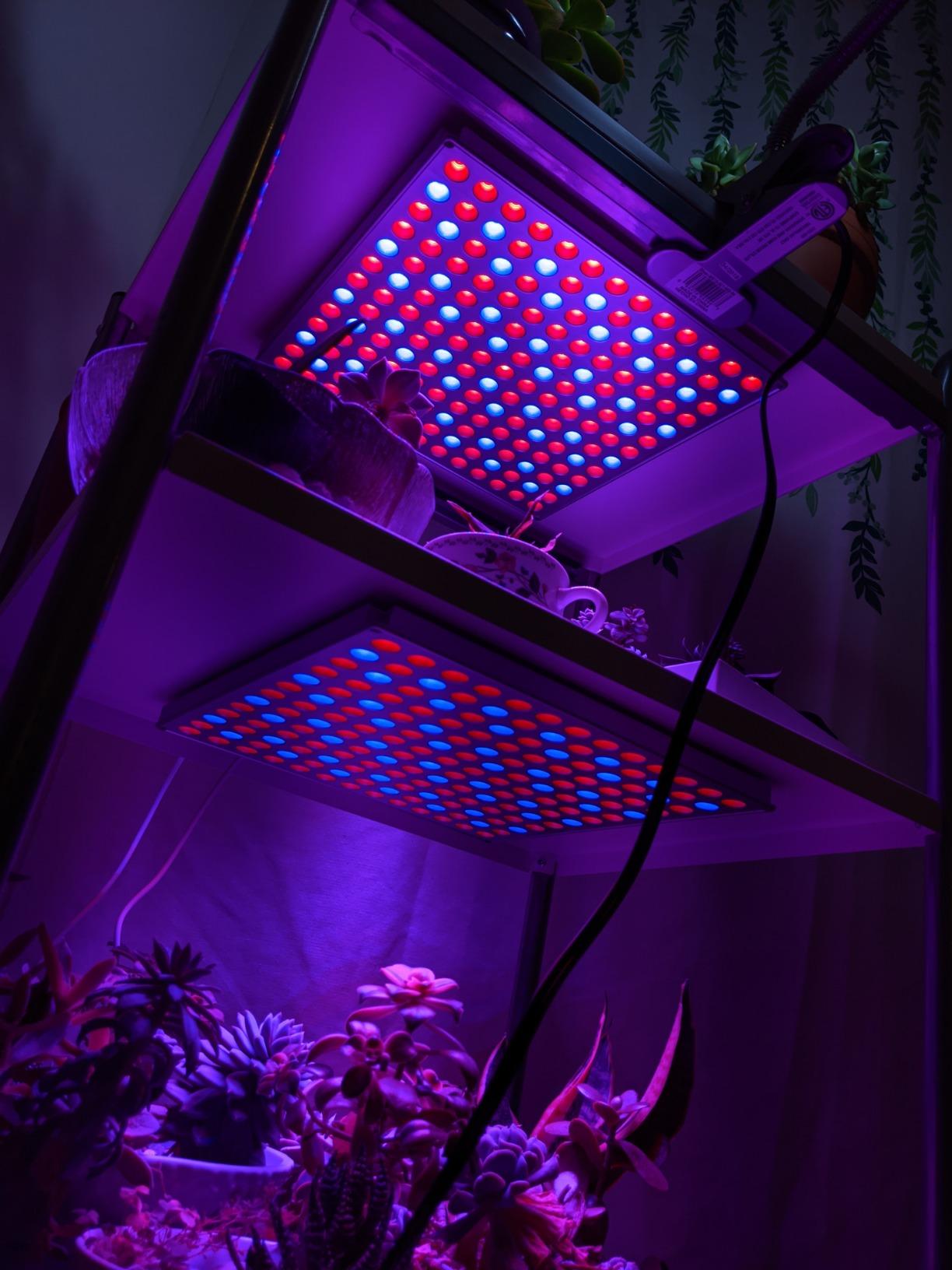 45W Led Plants Grow Light Full Spectrum Indoor Veg Flower Lamp Hydroponic photo review