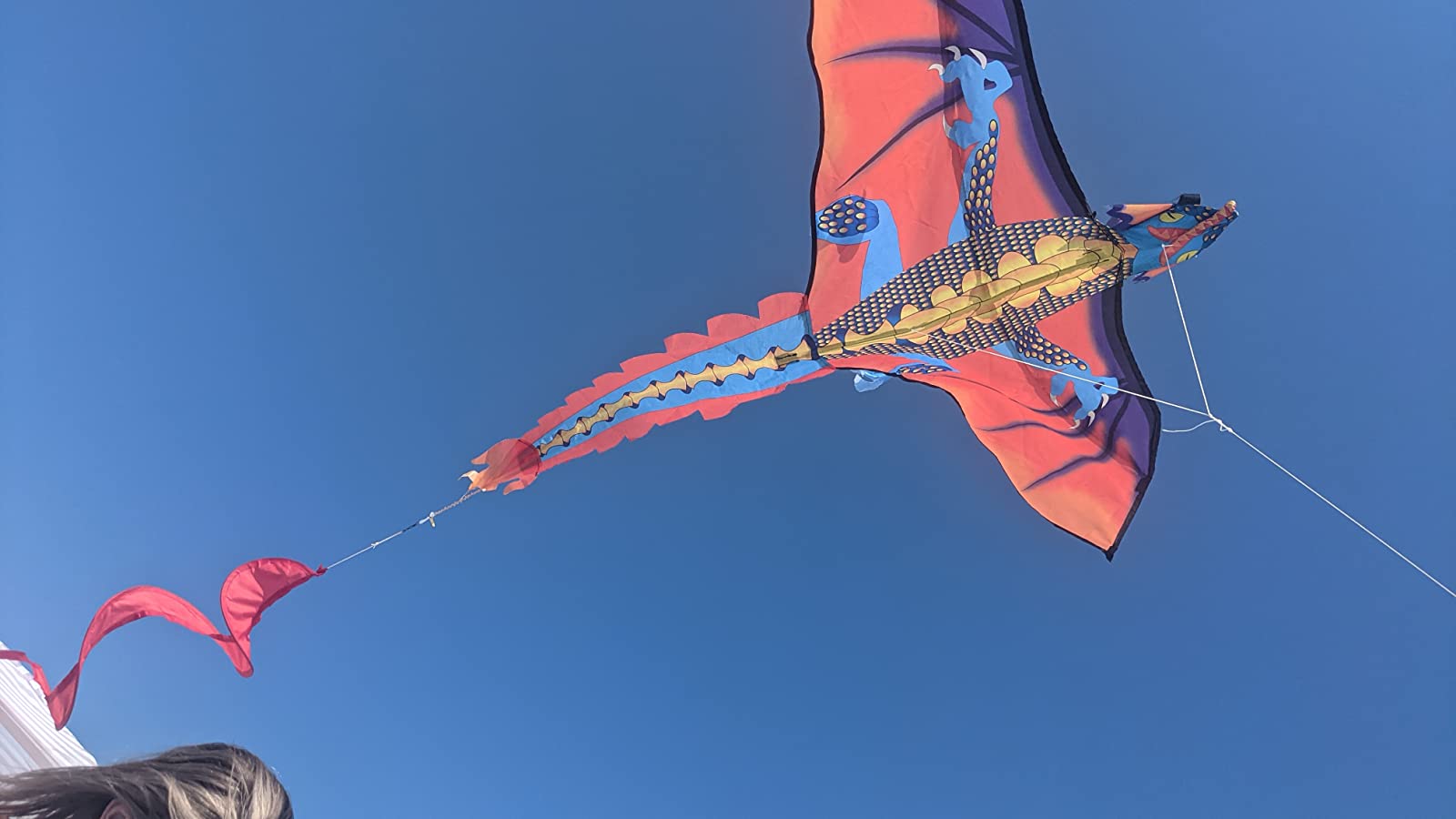 3D Dragon Single Line Kite For Adult Kids Classical Sports Outdoor Easy To Fly photo review