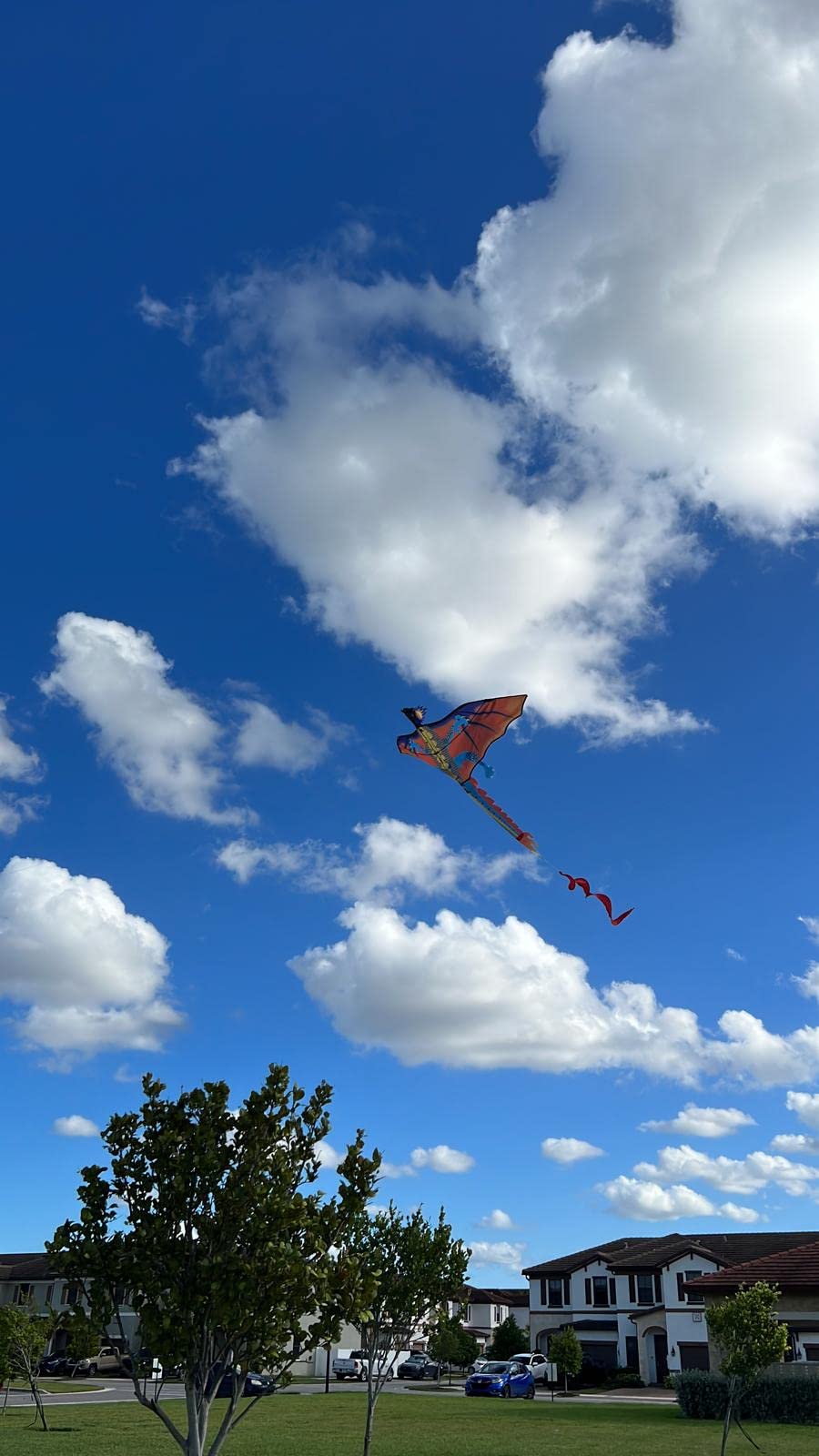 3D Dragon Single Line Kite For Adult Kids Classical Sports Outdoor Easy To Fly photo review
