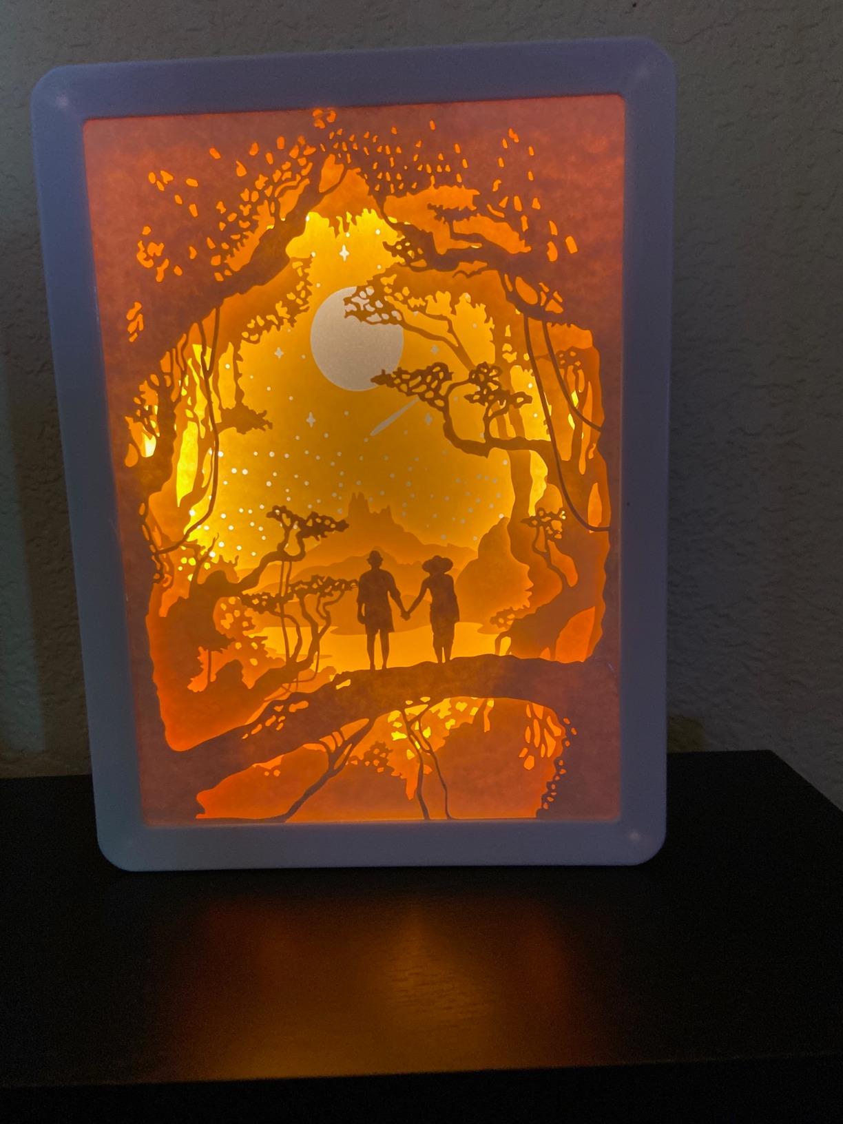 3D Paper Carving Night Light - Papercut Lightbox LED Table Lamp Home Decor photo review