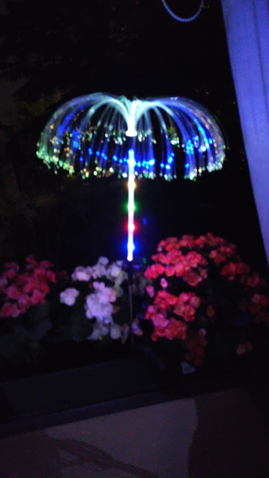 Solar Powered Jellyfish Lights photo review