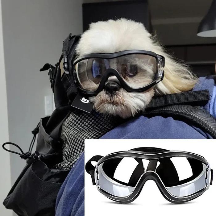 Adjustable Dog Goggles for Skiing, Travel, UV Eye Protection