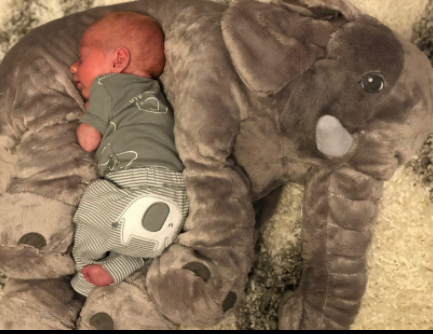 Elephant Doll Plush Toy Elephant Pillow Baby Comfort Doll photo review