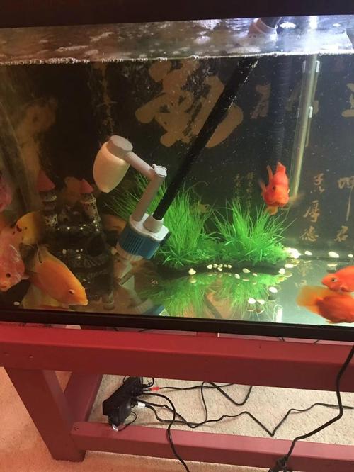 Aquarium Water Change Pump with Gravel Cleaner, Efficient Debris Filter photo review
