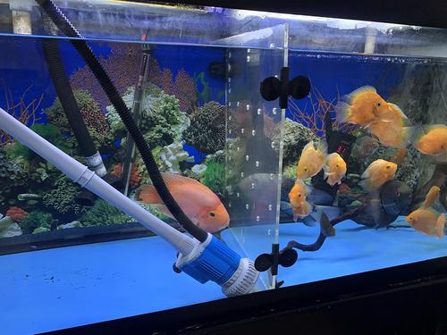 Aquarium Water Change Pump with Gravel Cleaner, Efficient Debris Filter photo review