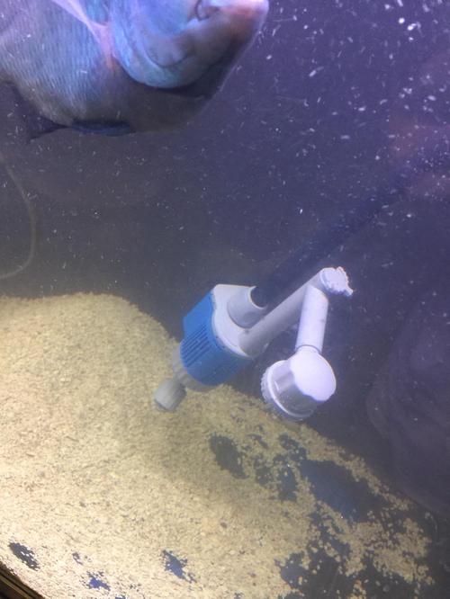 Aquarium Water Change Pump with Gravel Cleaner, Efficient Debris Filter photo review