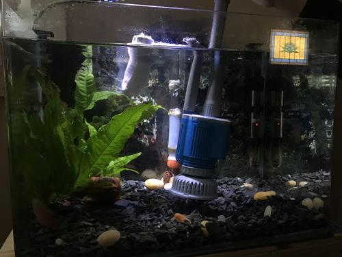 Aquarium Water Change Pump with Gravel Cleaner, Efficient Debris Filter photo review