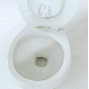 Potty Training Toilet, Toilet Projector, Toilet Training Target