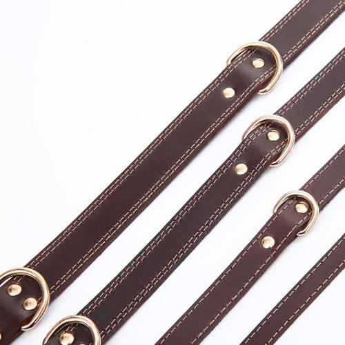 Barbour Dog Collar with Rustproof Double D-Ring