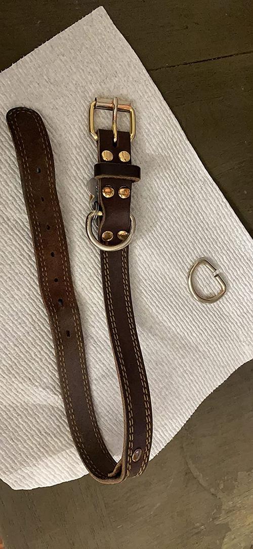 Barbour Dog Collar with Rustproof Double D-Ring photo review