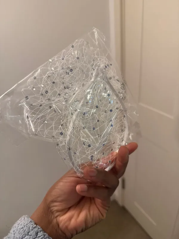 Birdcage Veil with Rhinestone-Embellished Mesh Headband photo review