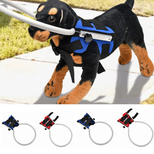 Bumper Collar Guide For Blind Dogs Harness