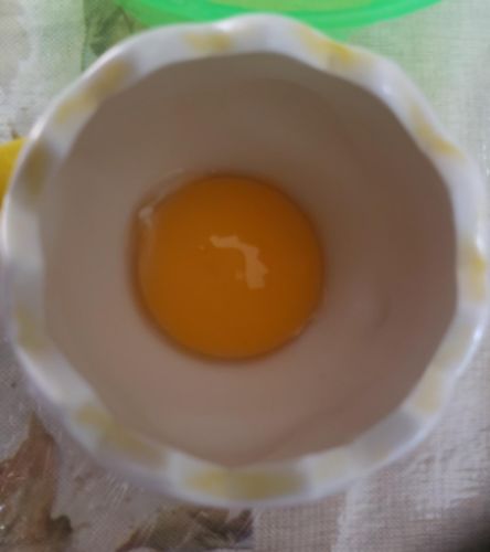 Ceramic Egg Divider photo review