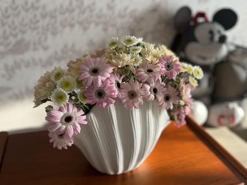Modern Ceramic Shell Vase Set for Home Decor photo review