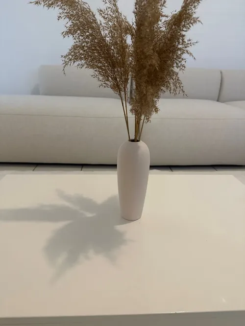 Nordic Ceramic Vase for Creative Flower Arrangements, Terrarium, Hydroponic Plant, Living Room Decor photo review