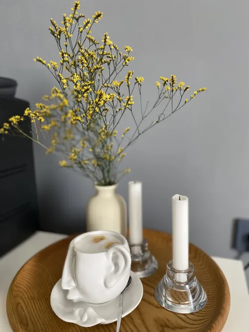 Nordic Ceramic Vase for Creative Flower Arrangements, Terrarium, Hydroponic Plant, Living Room Decor photo review