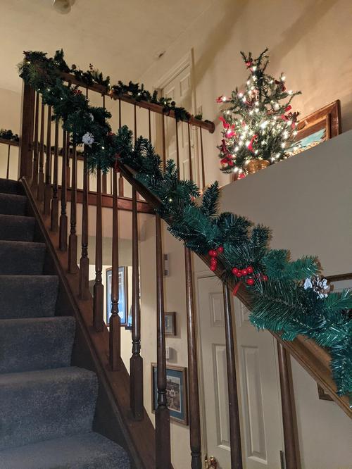 Christmas Garland Decoration with Warm LED Lights, Pre-Lit Lighted Christmas Garland Decorated with Pine Cones photo review