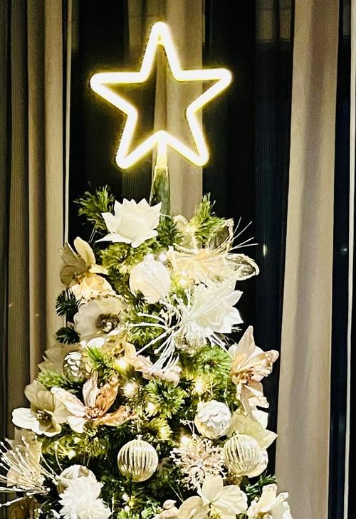 Christmas Tree Topper Large 5 Point Star Treetop with LED Warm White Lights, LED Tree Top Light Three-dimensional Luminous Star Light photo review