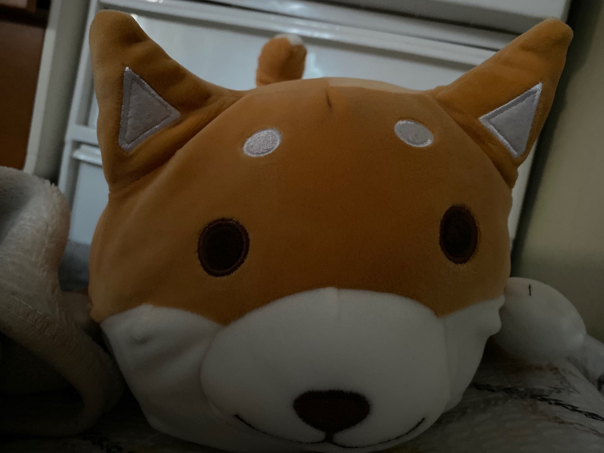 Cute Fat Shiba Inu Plush Stuffed Toy/Pillow photo review