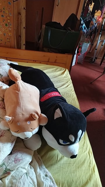 Cute Fat Shiba Inu Plush Stuffed Toy/Pillow photo review