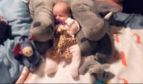 Cute Giant Elephant Cuddle Hug Plush Toy For Babies photo review