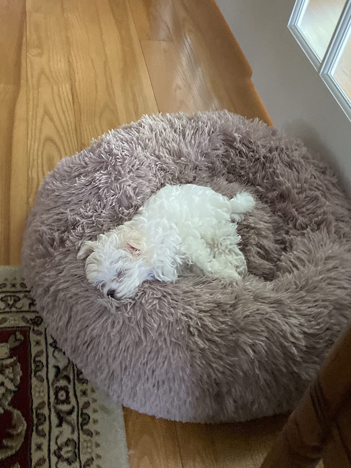 Deep Sleep Gog Calming Bed for Small Dogs Round Plush Pet Nest photo review