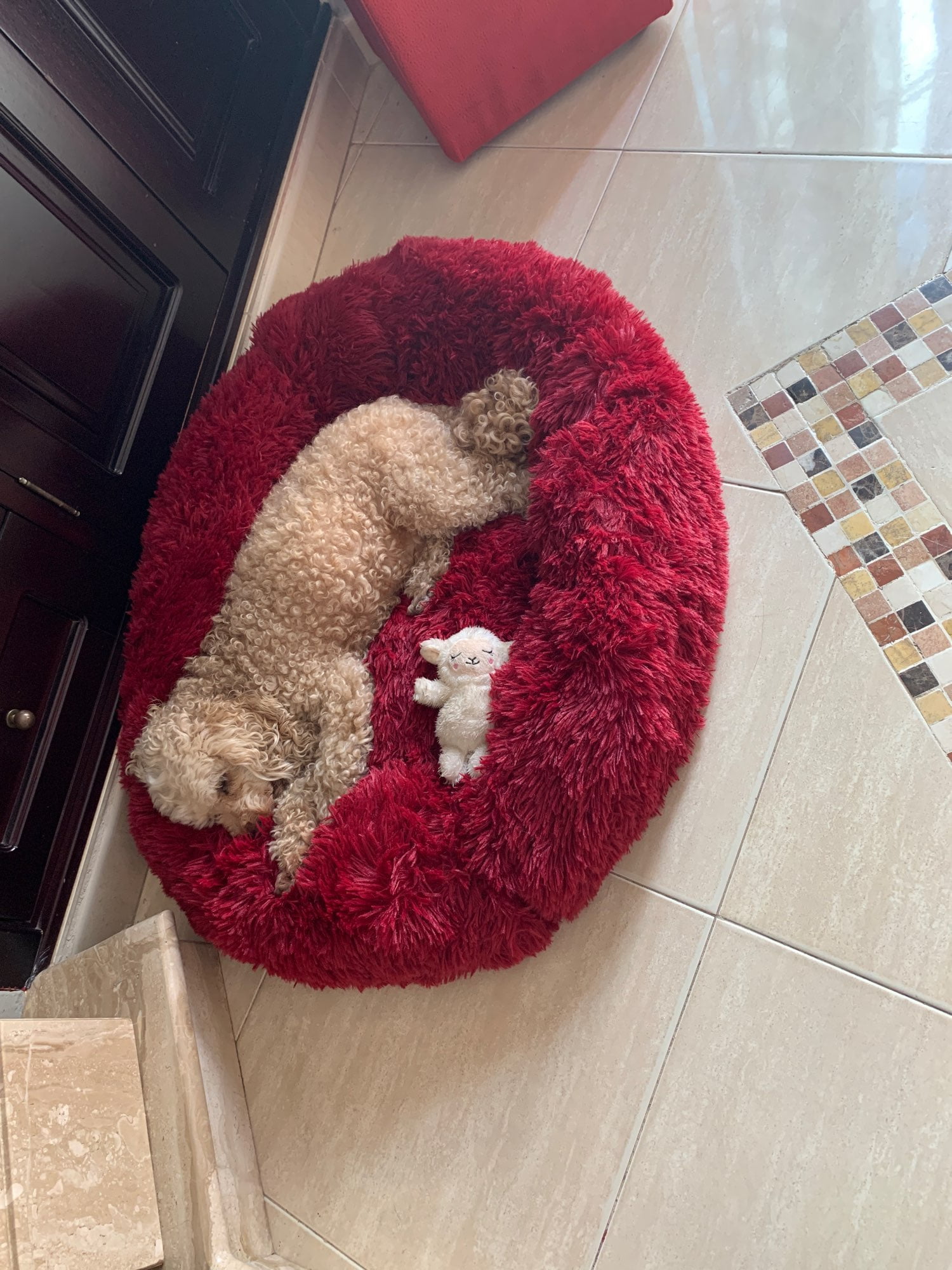 Deep Sleep Gog Calming Bed for Small Dogs Round Plush Pet Nest photo review