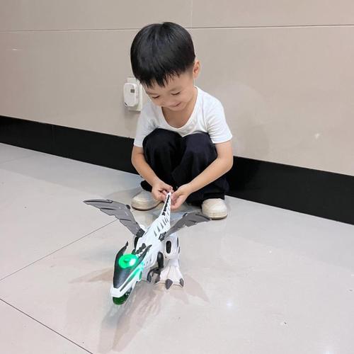 Dinosaur Toys for Kids, Electric Walking Dinosaur Robot with Fire Breathing & Mist Spray and Roar Sounds, Mist Spraying Robot Dragon Toy photo review