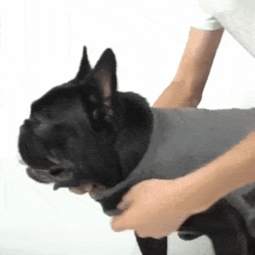 Dog Anxiety Vest Calming Shirt for Small to Large Pets