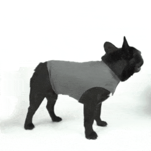 Dog Anxiety Vest Calming Shirt for Small to Large Pets