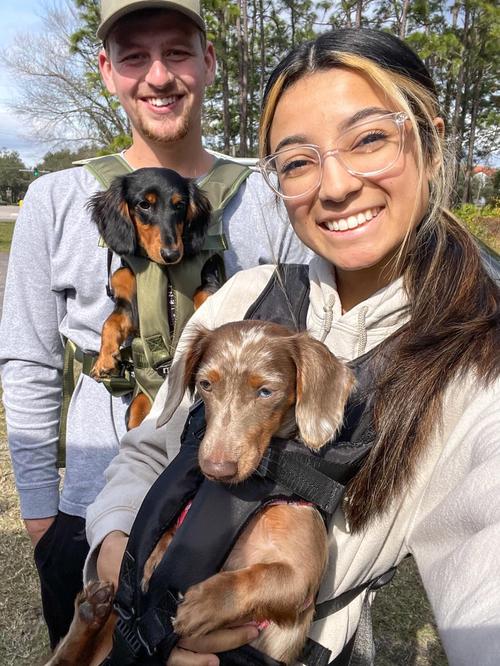 Hunde-Rucksackträger, mit ausgestreckten Beinen, einfach anzubringender Hunde-Vorderträger für kleine, mittelgroße Hunde, verstellbarer, freihändiger Hunde-Brustträger photo review