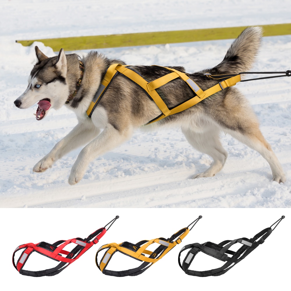 Dog Harness Weight Pulling Sledding Harness Mushing Back Harness