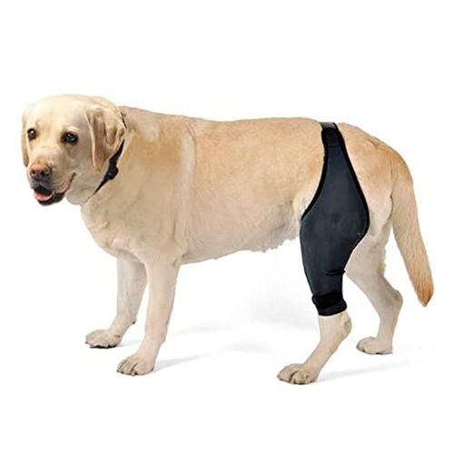 Dog Knee Brace for Luxating Patella