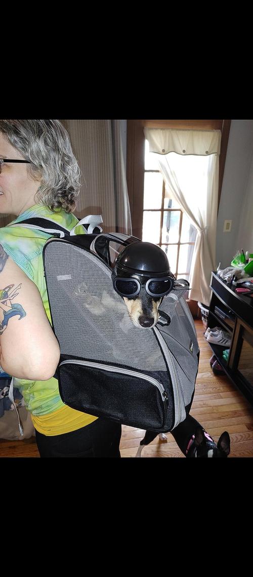 Dog Motorcycle Helmet And Goggles - Black photo review