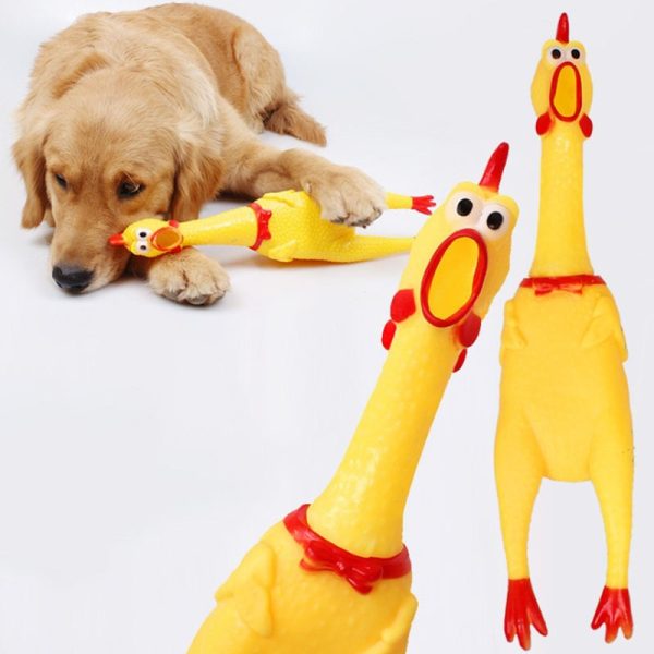 Screaming Chicken Dog Toy - Small Size, Durable & Interactive