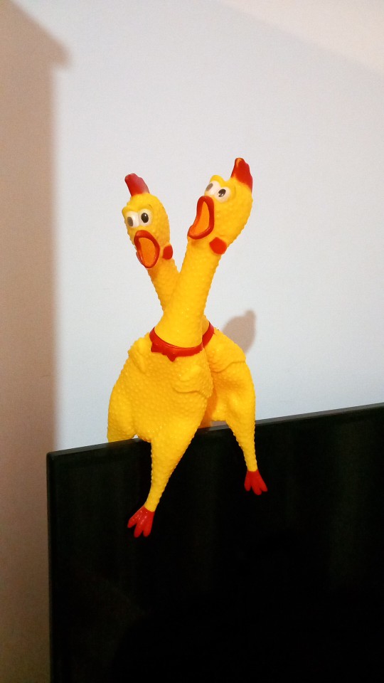 Screaming Chicken Dog Toy - Small Size, Durable & Interactive photo review