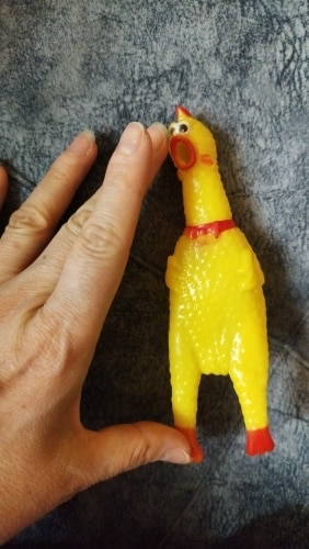 Screaming Chicken Dog Toy - Small Size, Durable & Interactive photo review
