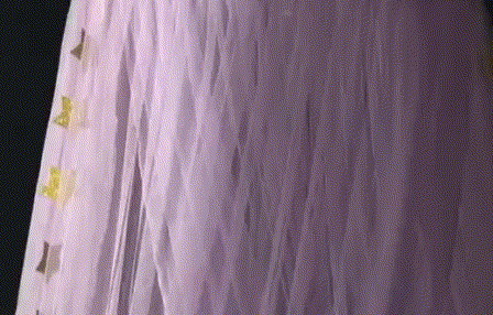 Princess Bed Curtain with Crown Top