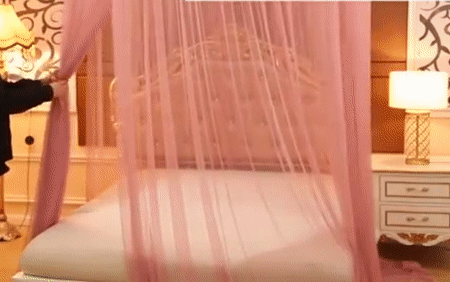 Princess Bed Curtain with Crown Top