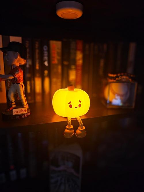 Pumpkin Night Light, Cute LED Lamp, Silicone Dimmable Nursery Nightlight for Kids, Silicone Rechargeable Bedside Touch Lamp photo review