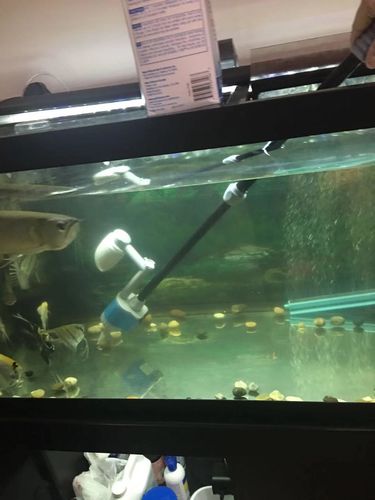 Electric Aquarium Gravel Cleaner photo review