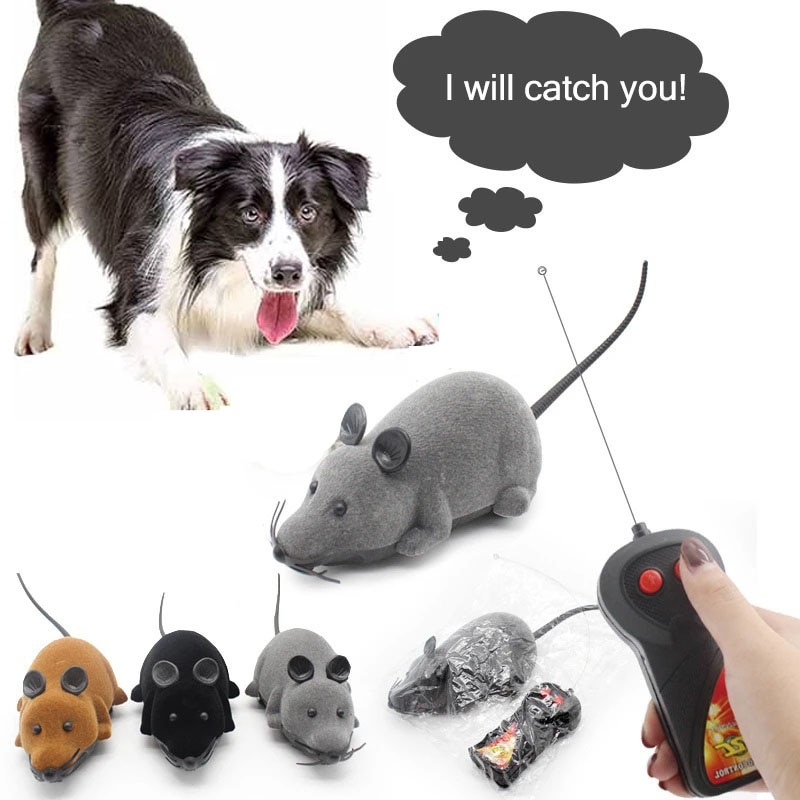Onlynery Robot Mouse Cat Toy, Remote Controlled Mouse Toy, Wireless  Electronic Mouse, A Better Gift For Your Cats, Dogs, Pets, Kids And Kids  Love Curiosity : : Pet Supplies