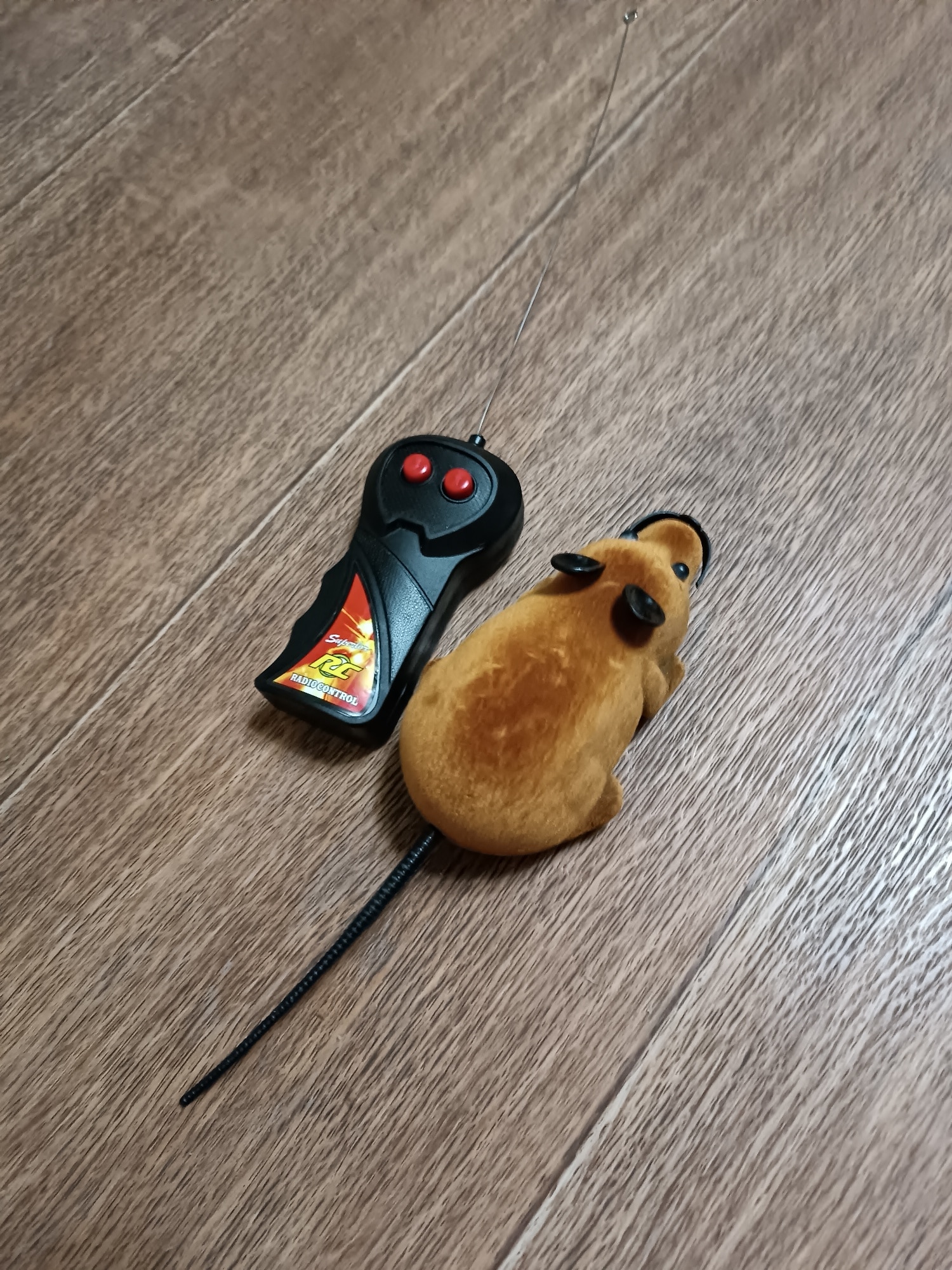 Electronic Rc Rat Mouse Toy For Pet Cat photo review