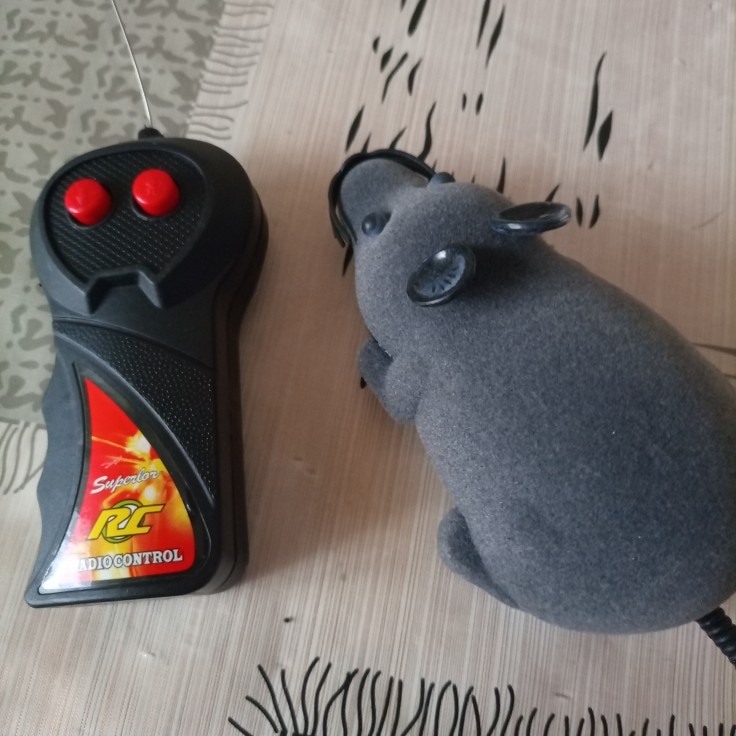 Electronic Rc Rat Mouse Toy For Pet Cat photo review