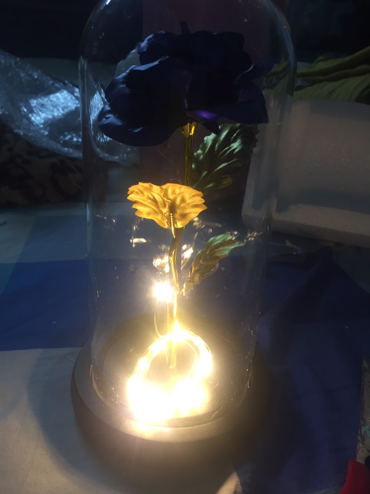 Enchanted Forever Rose Flower Lamp In Glass LED Light Christmas Decoration  – Katy Craft
