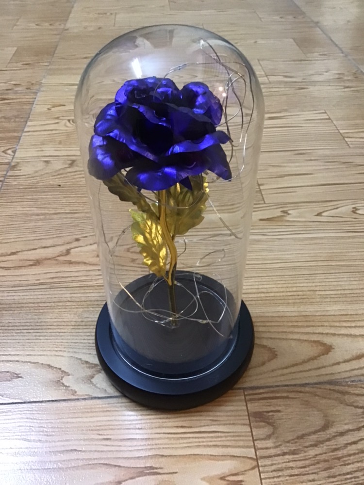 Enchanted Forever Rose Flower Lamp In Glass LED Light Christmas Decoration photo review