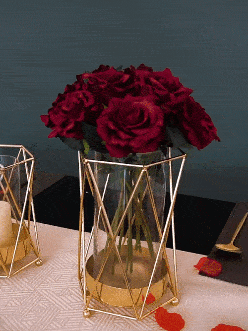 Style Transparent Iron Vase for Home Decor