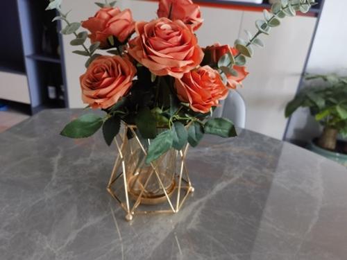 Style Transparent Iron Vase for Home Decor photo review